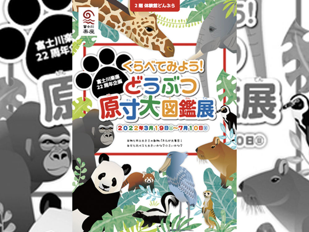 富士川楽座でのデジタルイベント風景